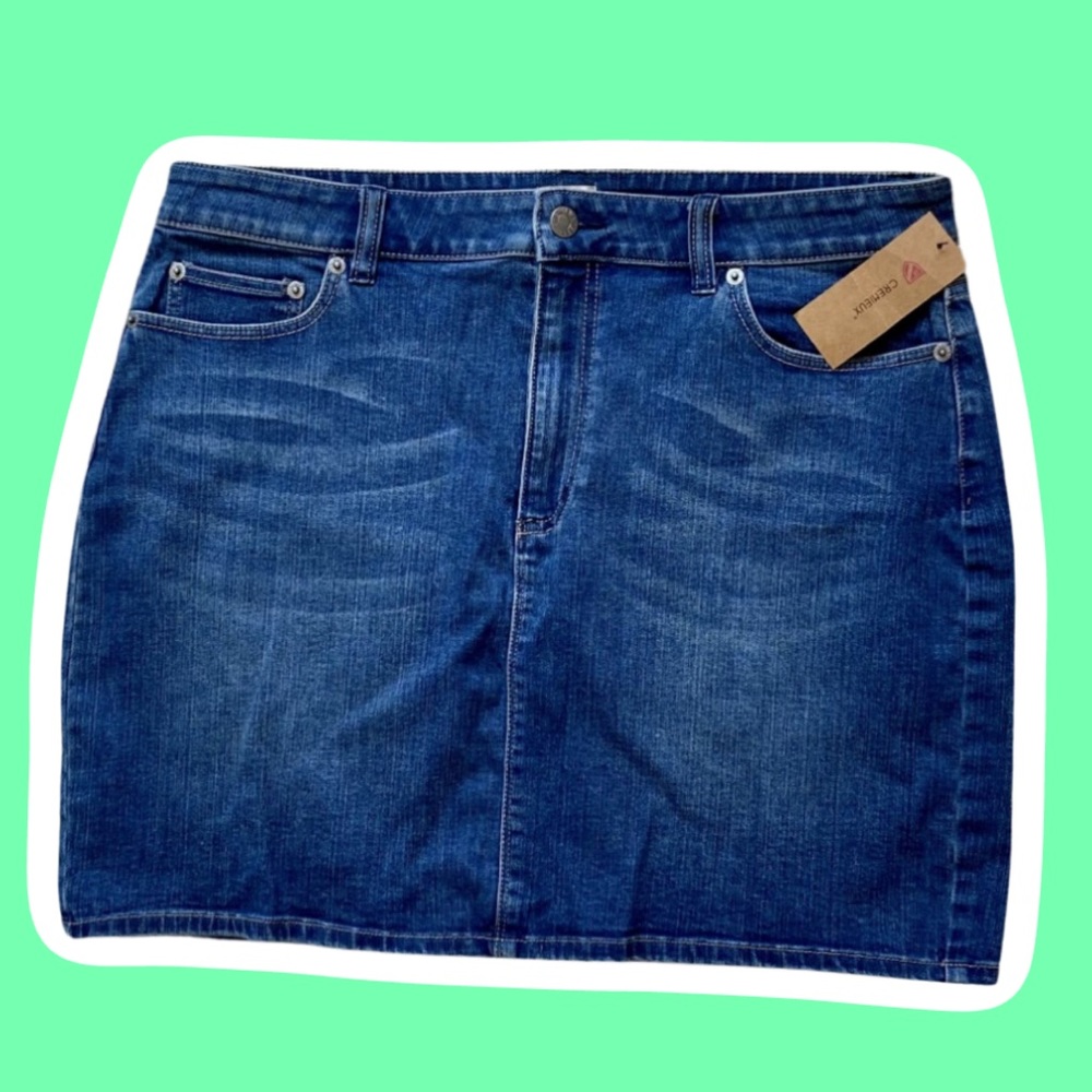 NWT Cremieux Denim Mini Skirt